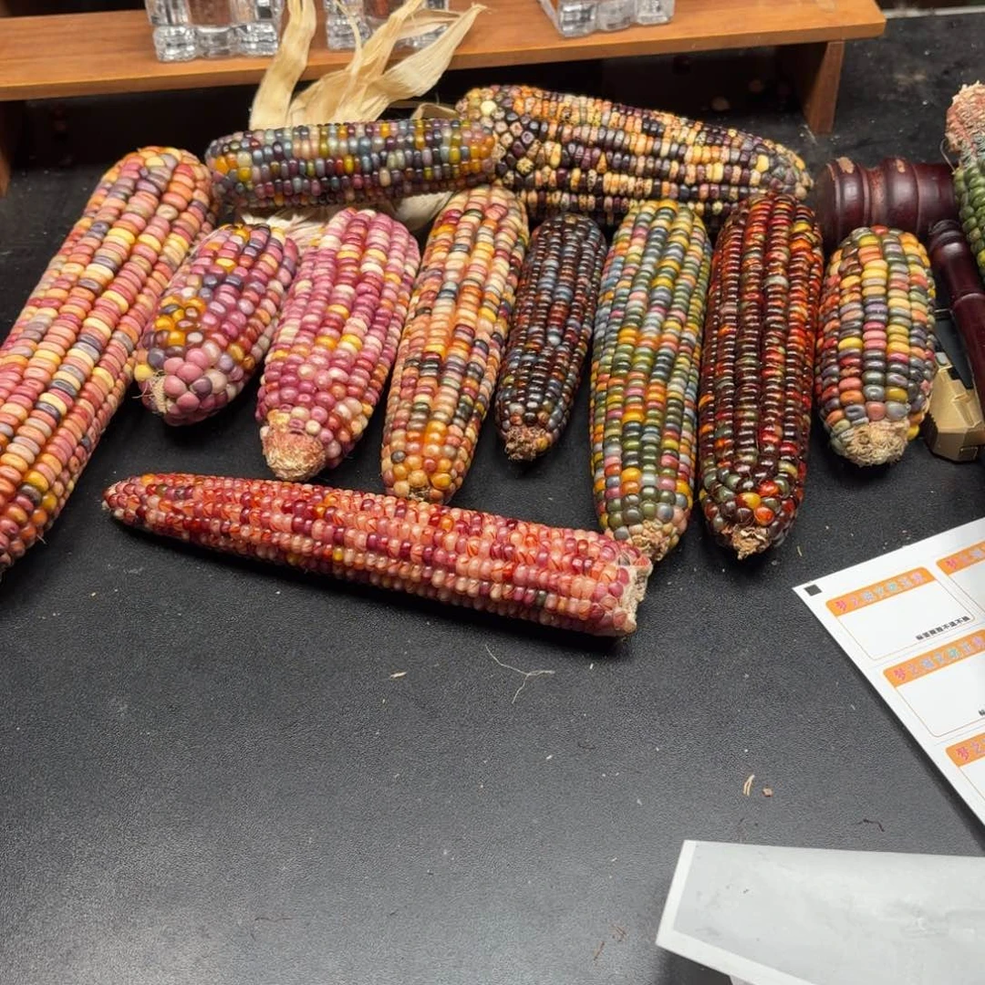 星***辰银S925我我我我我我我我