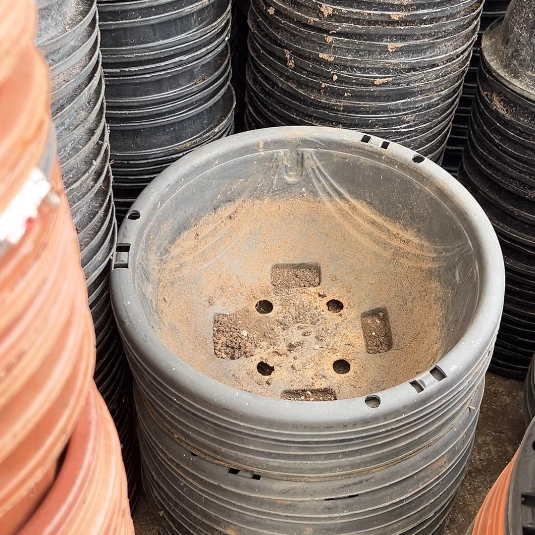 旧口径27高13黑吊兰盆20个