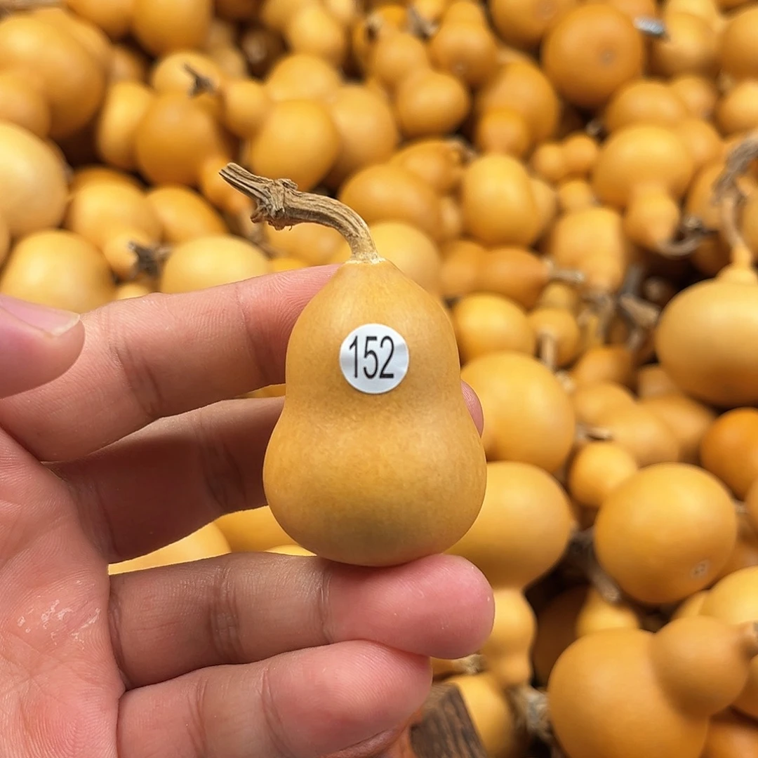 一葫芦葫芦葫芦葫芦152