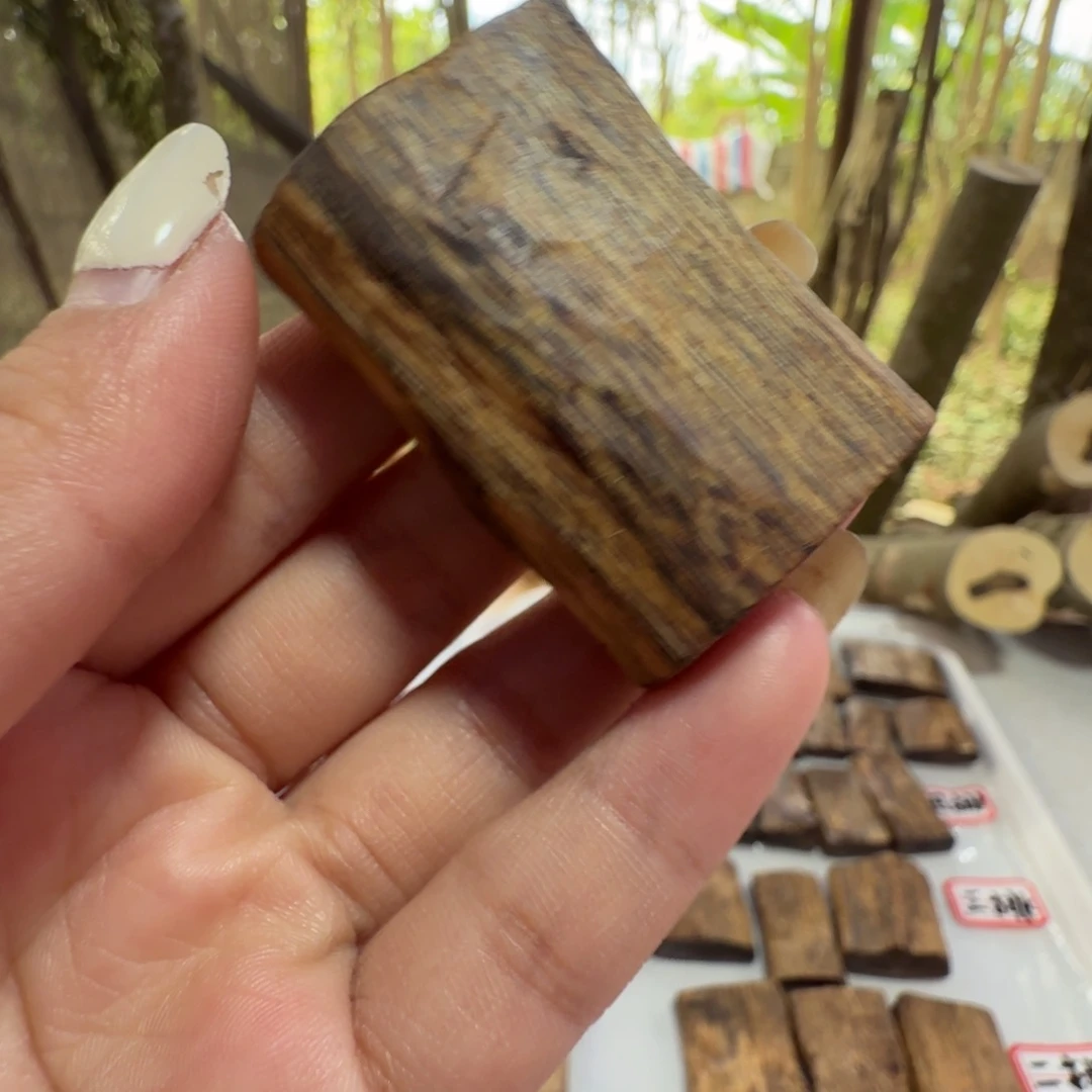 舞***水线香奇楠沉香原木