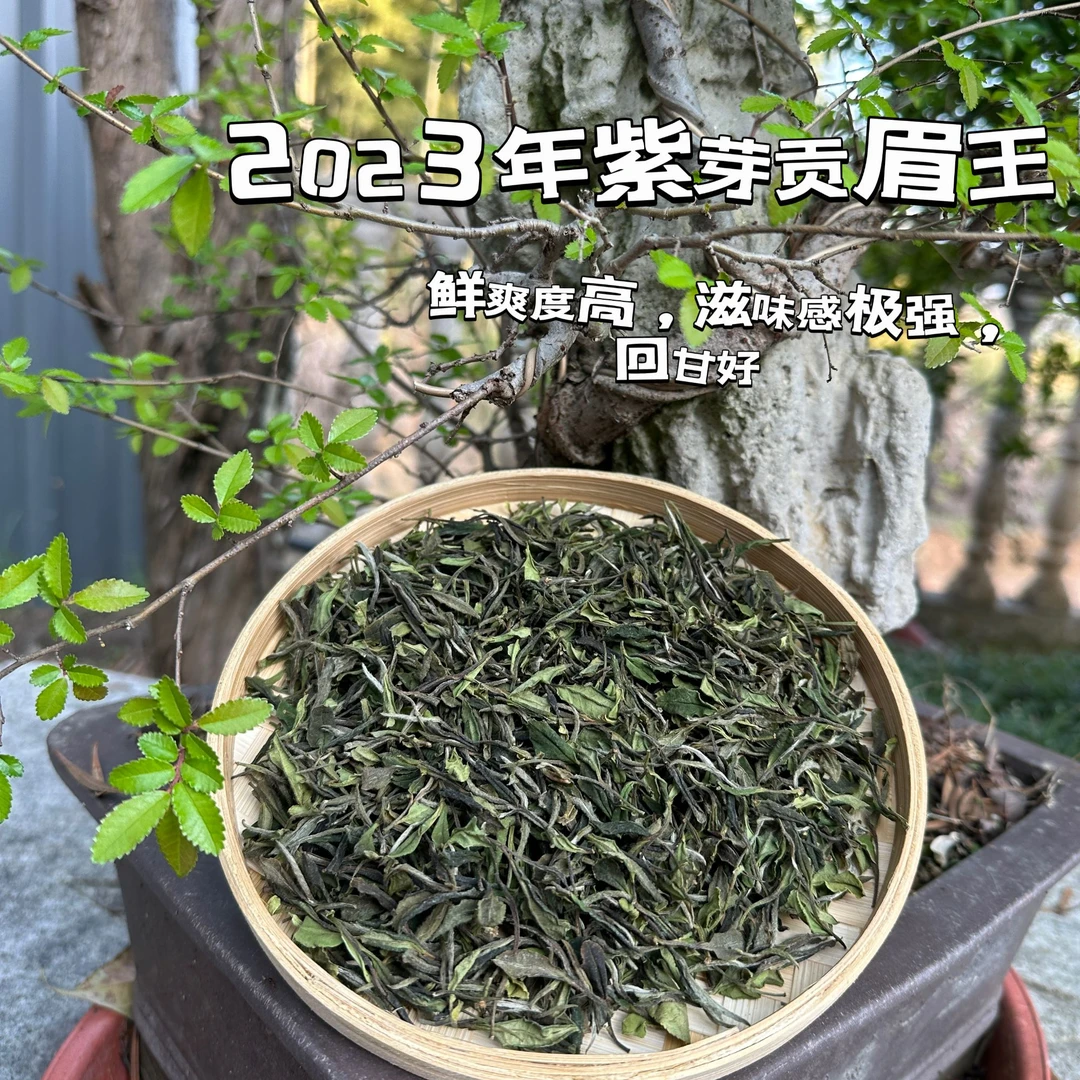 龍嘘紫芽贡眉王250g【2023年】