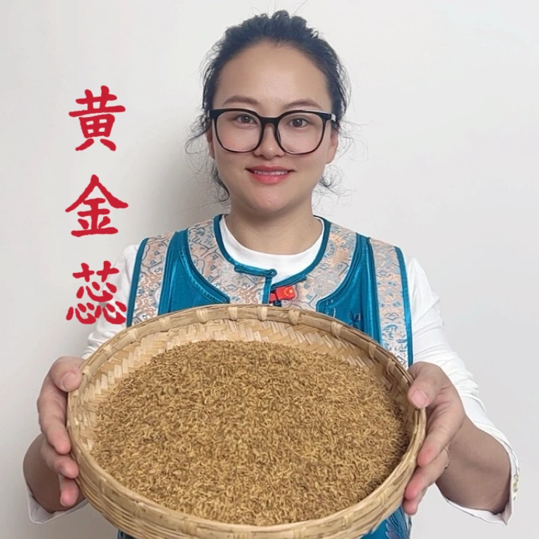 [小清] 夏至枸杞  黄金蕊