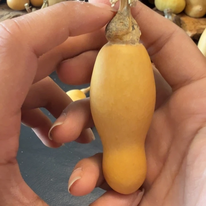 宠***丶6…………………………………………