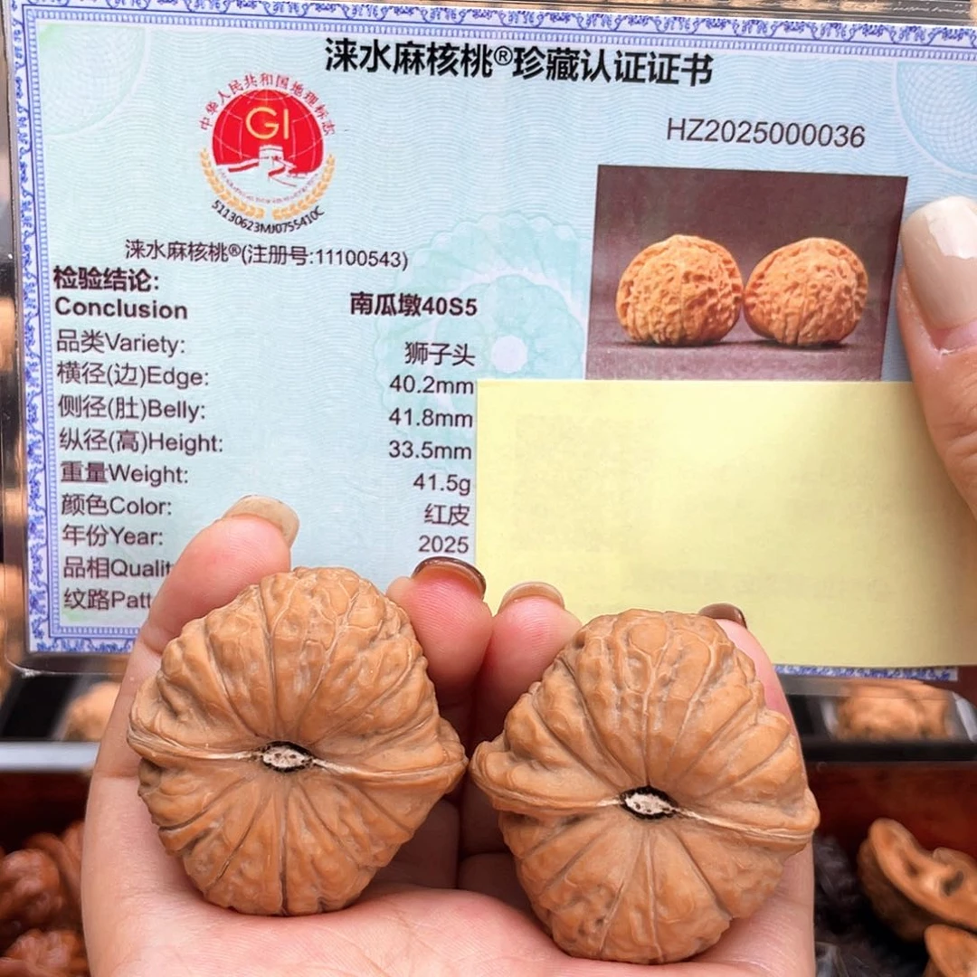 把件文玩核桃40毕业级小椭圆近正肩40s5