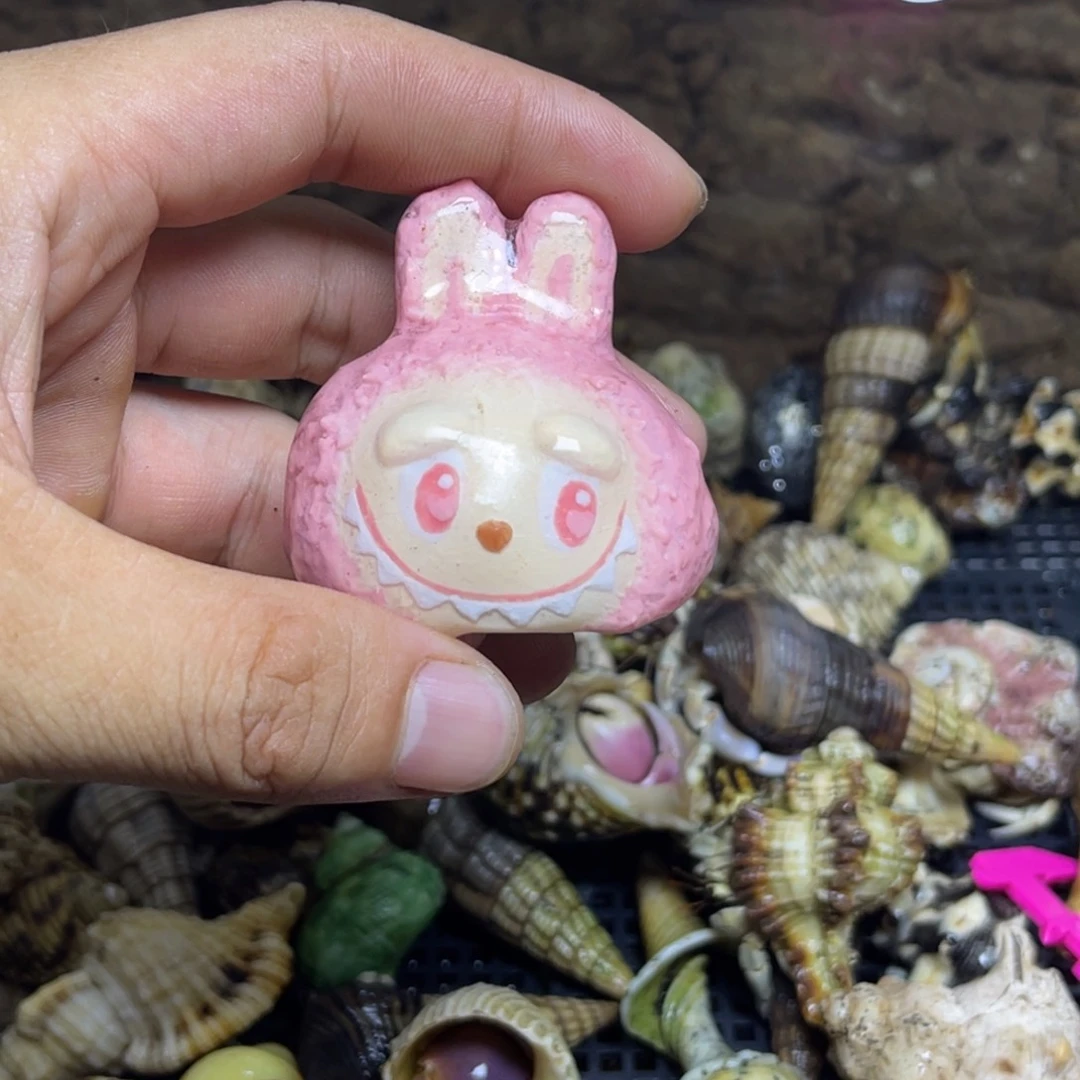 Labubu手工壳，半年质保