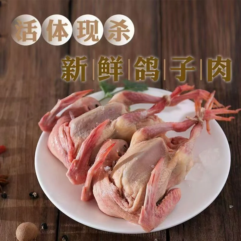 新鲜现杀农家散养土鸽乳鸽老鸽子煲汤食材
