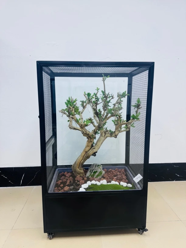 【中号1米1】生态鸟笼 宠物笼 高110*长66*宽46