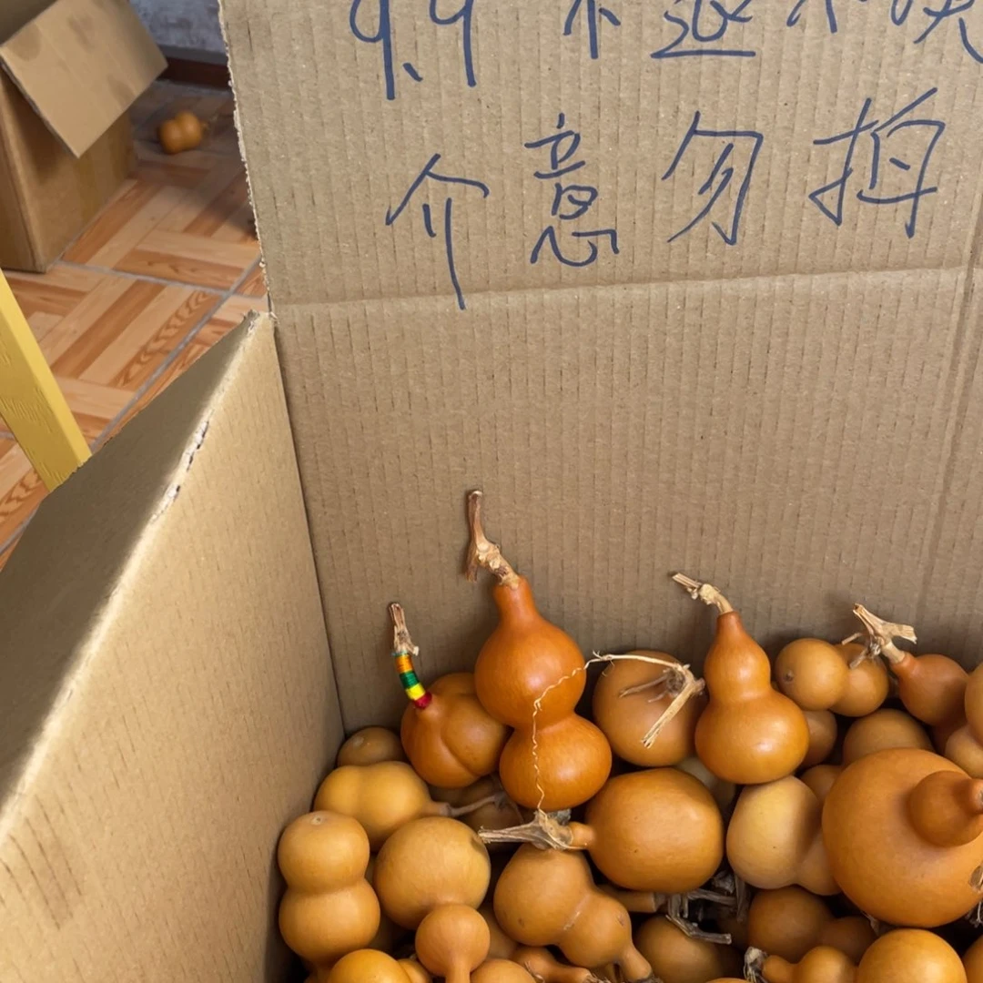 香榧木叶*紫葫芦葫芦葫芦葫芦