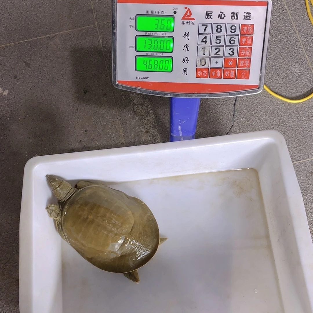 中国大陆4763674674574