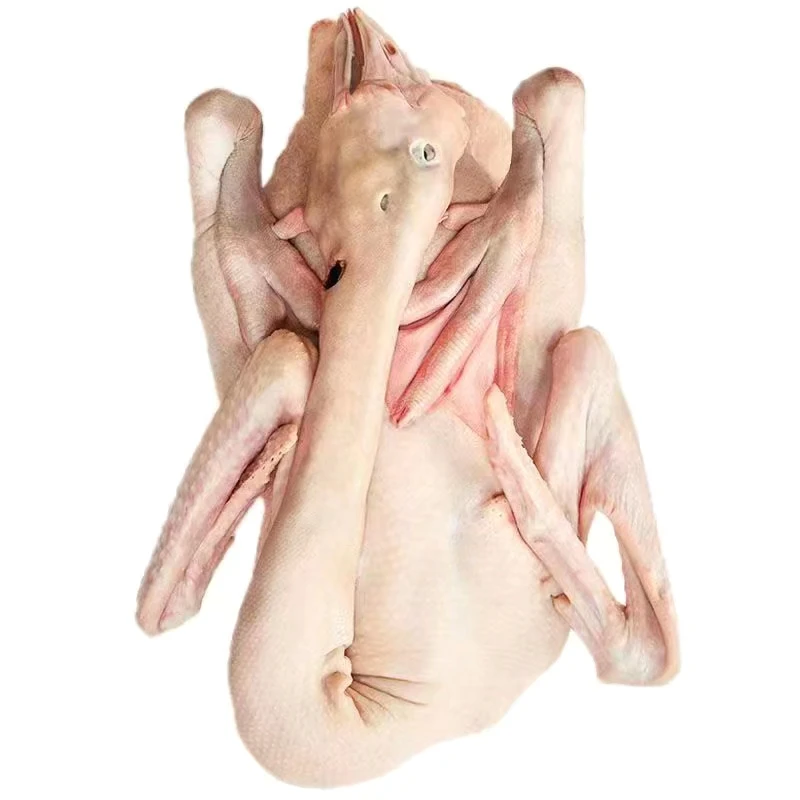 宠物零食狮头鹅肉干