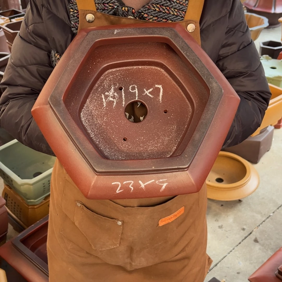 花盆紫砂盆景艺术