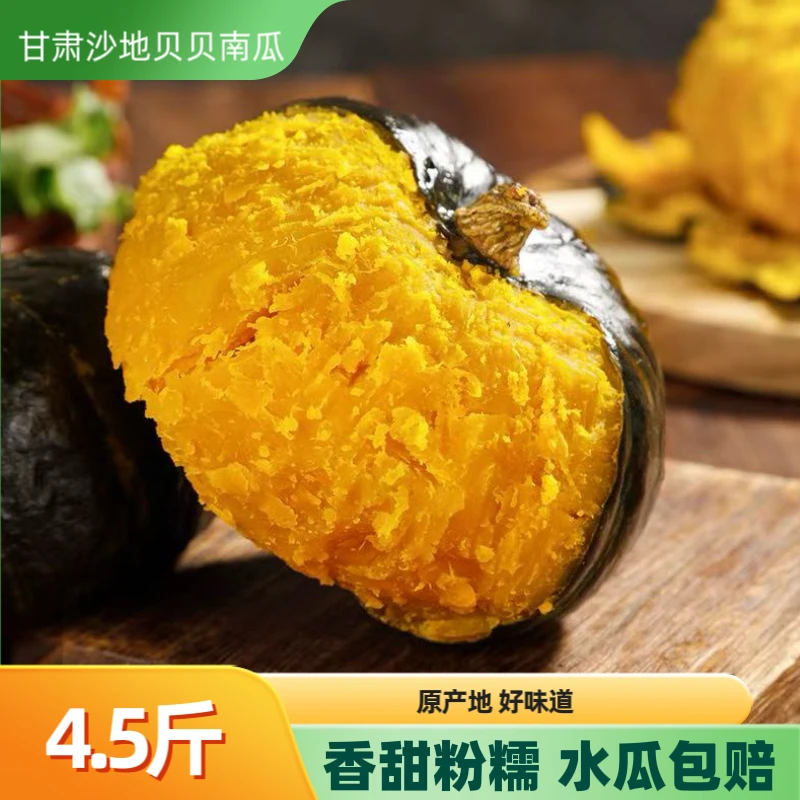 甘肃沙地贝贝南瓜粉糯香甜板栗味宝宝辅食粗粮代餐小南瓜板栗南瓜