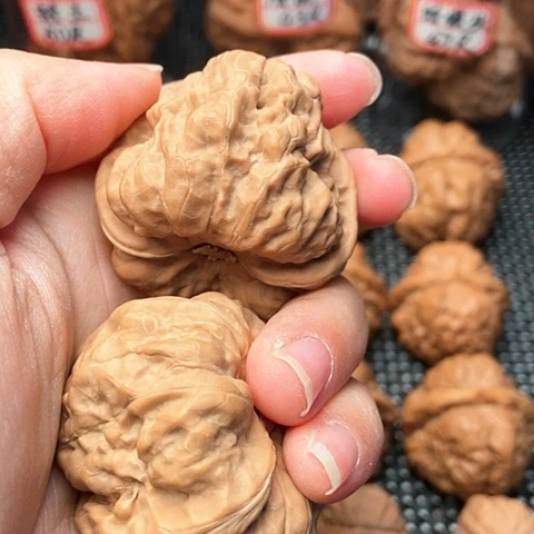 文玩核桃吊坠?**✨蛤蟆头核桃精品42