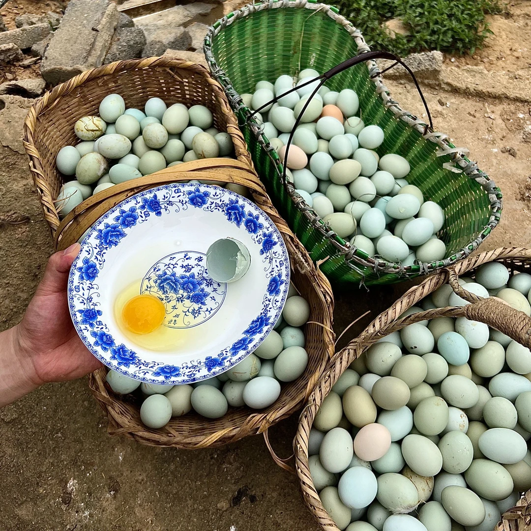 小伍林地散养土鸡蛋，现捡现发，新鲜土鸡蛋营养健康