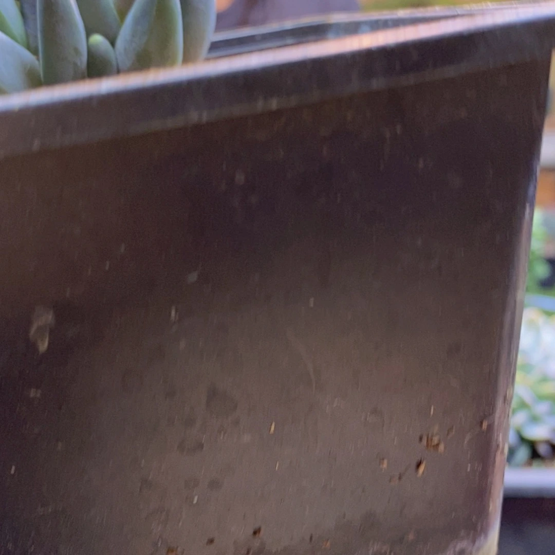 朱*18号乌拉克拉