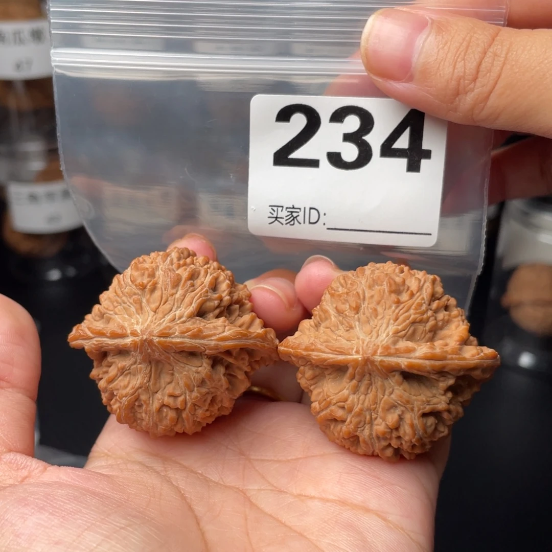 全品44满天星全品44满天星