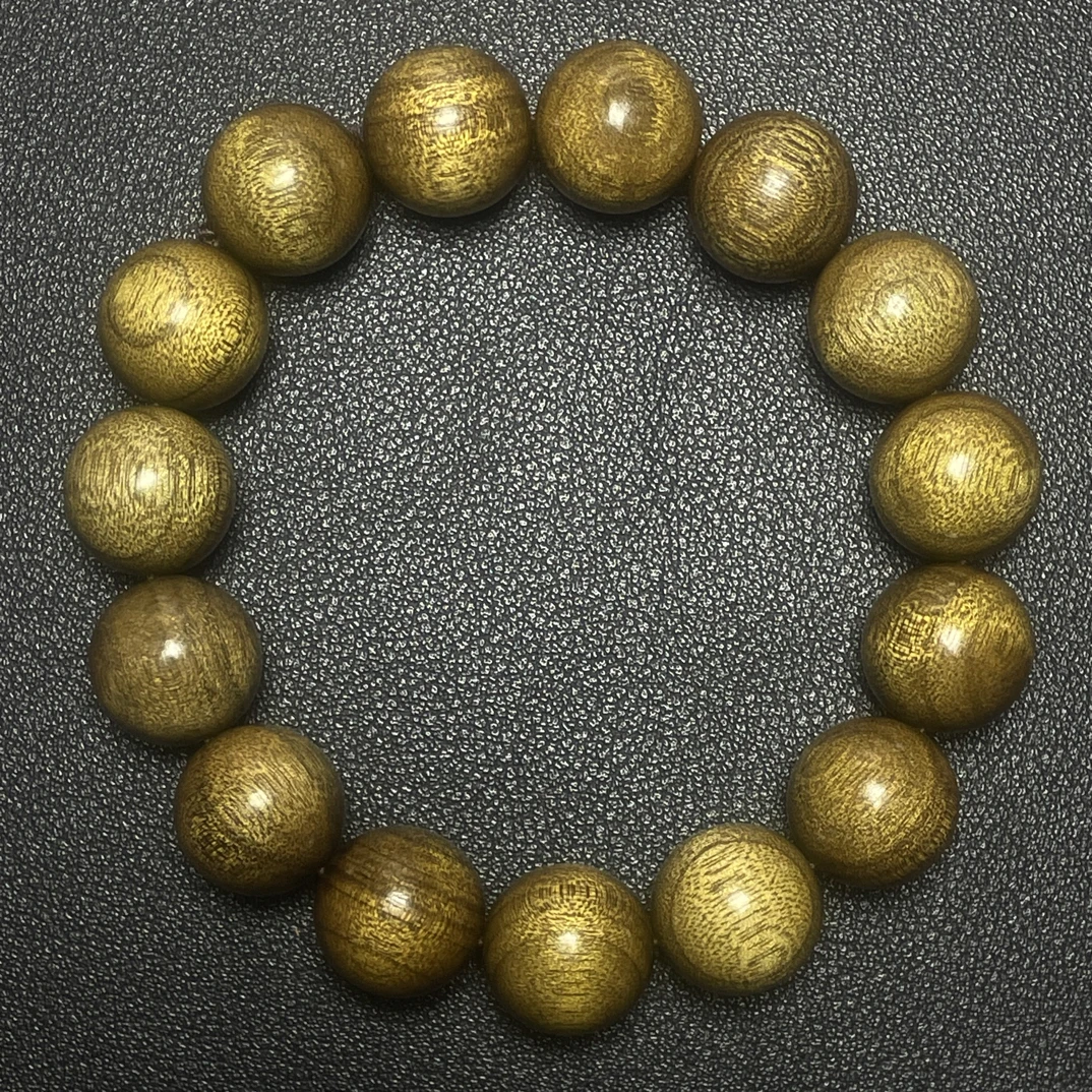 国木小叶金丝楠1.5