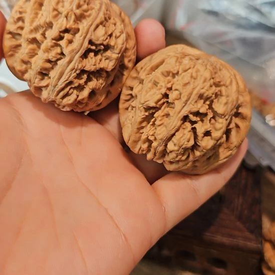 文玩核桃吊坠初**负47粗筋