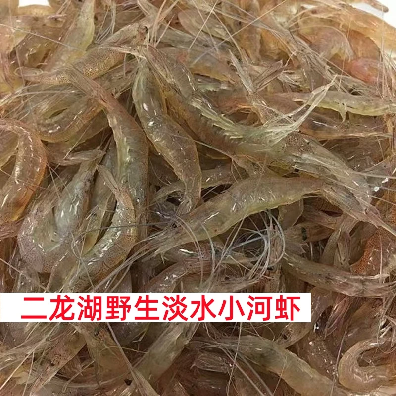 【顺丰空运】东北野生小河虾2-3cm纯野生小虾味道鲜美鲜