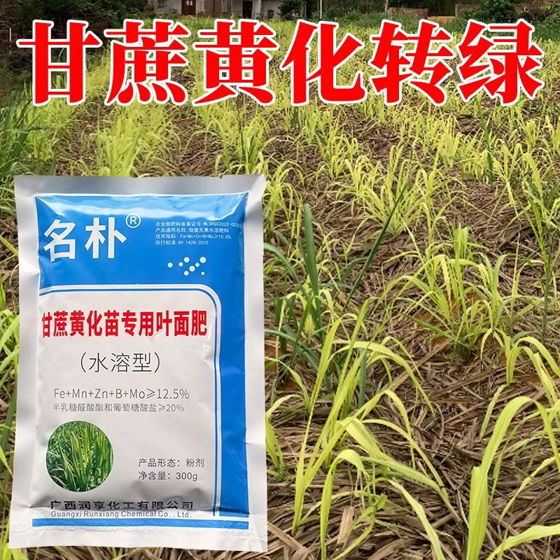 甘蔗黄化苗专用叶面肥发黄恢复黄化病甘蔗苗转绿叶面肥补铁水溶肥