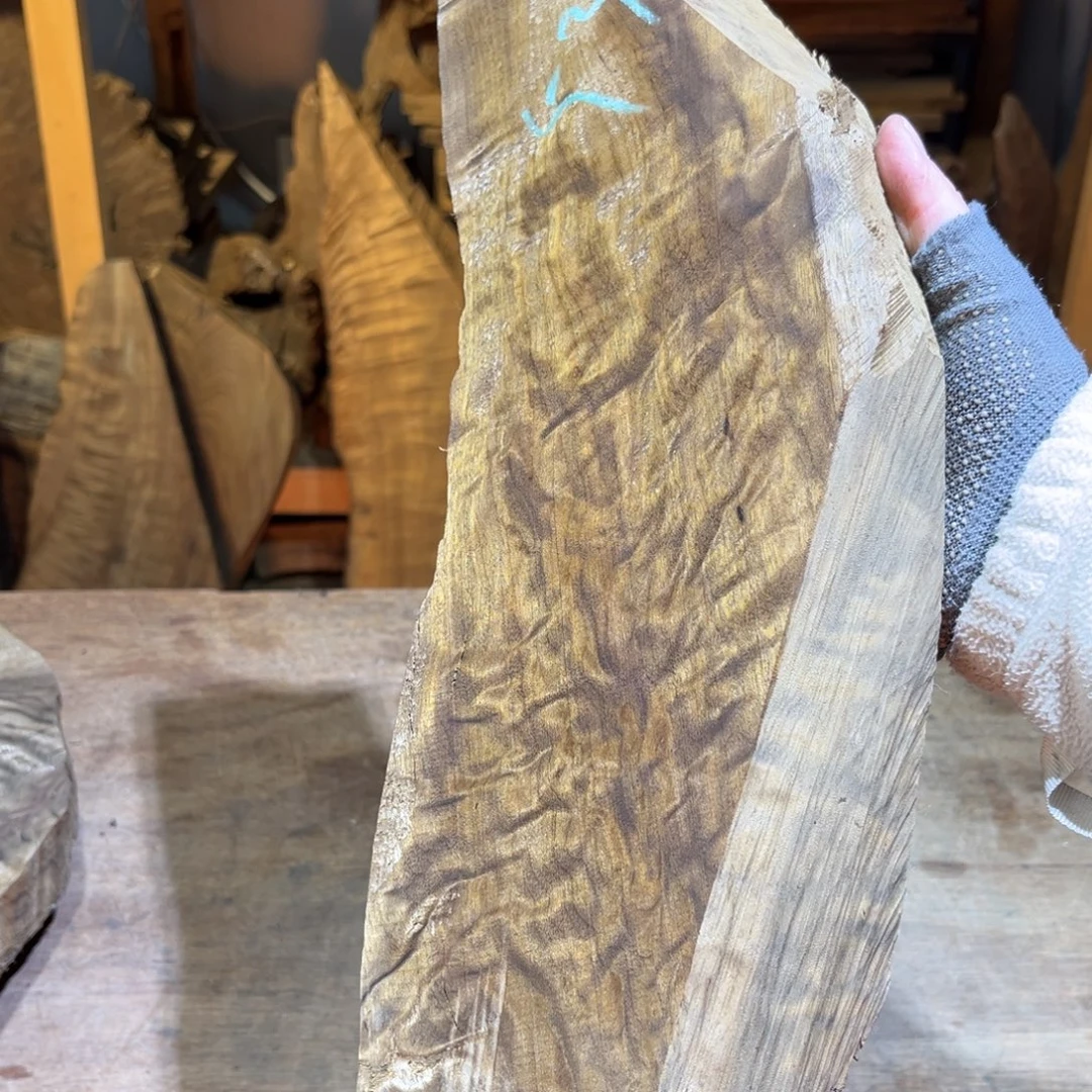 金丝楠金丝楠原材料