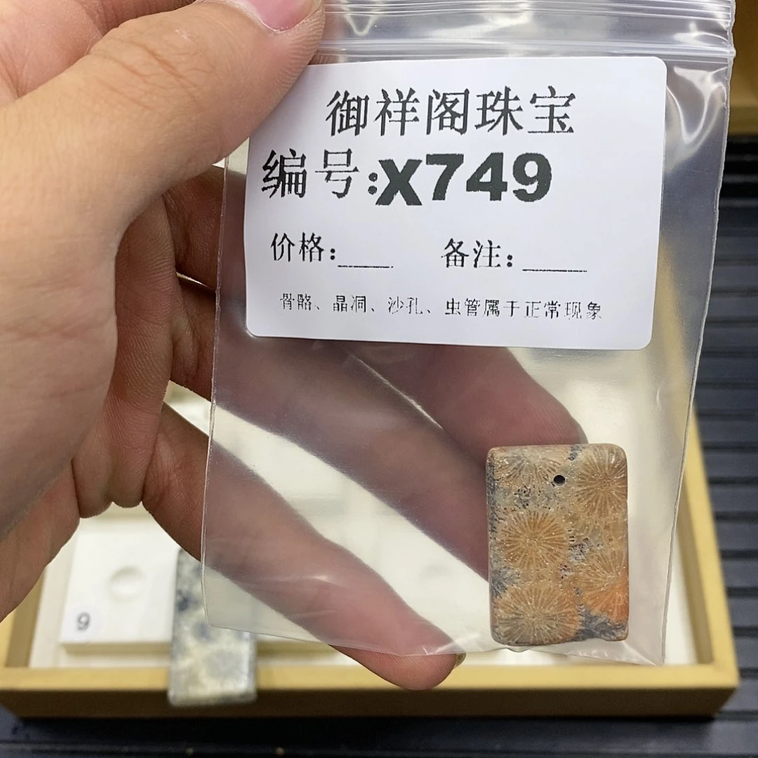 硅化珊瑚（珊瑚玉）未镶嵌颈饰高****本
