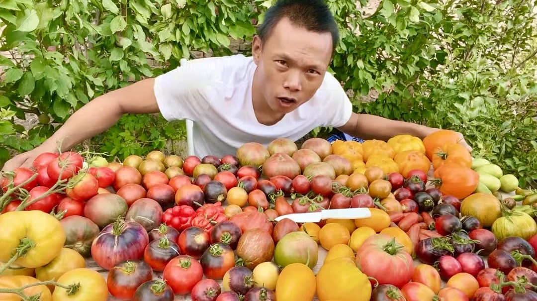 【盲袋】老品种番茄种子30粒 可以自留种 荒野拾遗录满29包邮