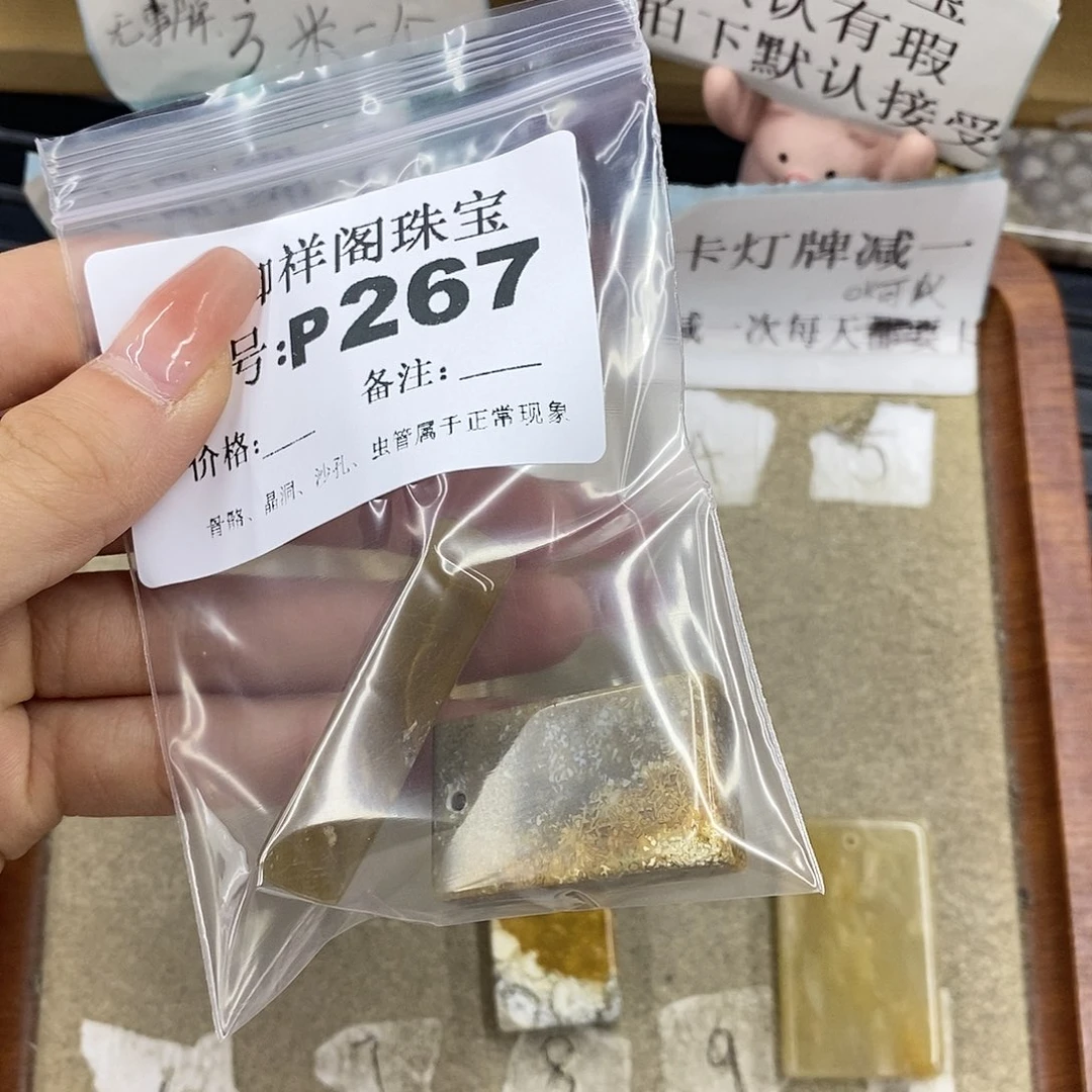 硅化珊瑚（珊瑚玉）未镶嵌颈饰靖*月