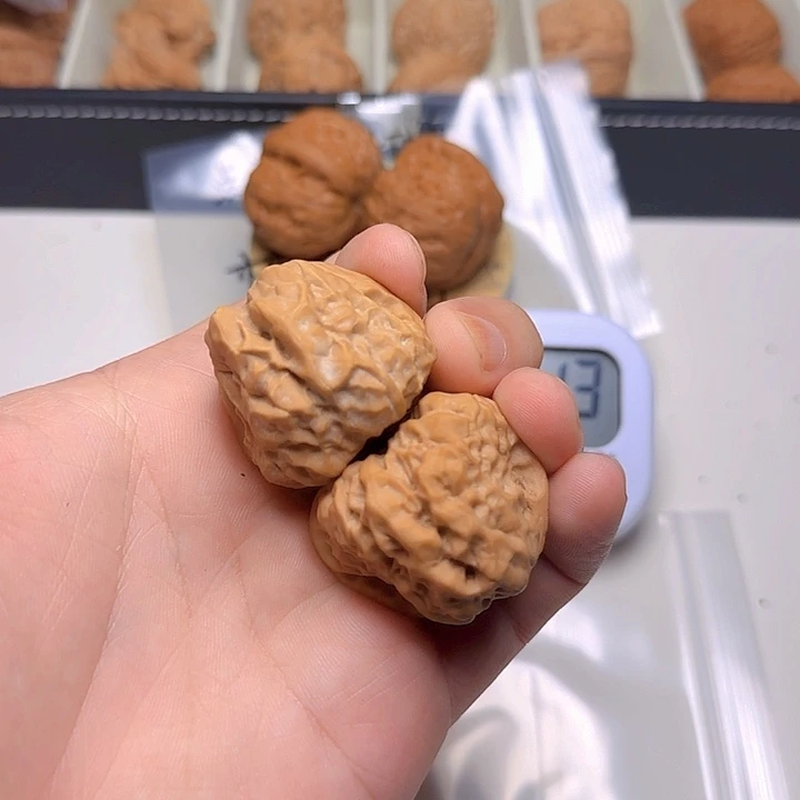 大叶紫檀(黑酸枝木类)