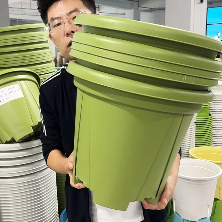 正品青山口40高34果绿5只无托