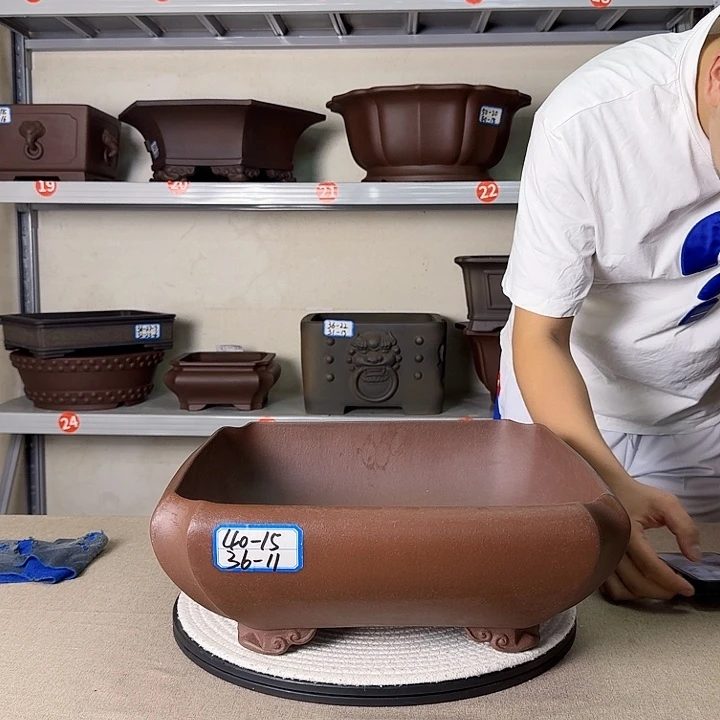 紫砂花盆哈哈哈哈