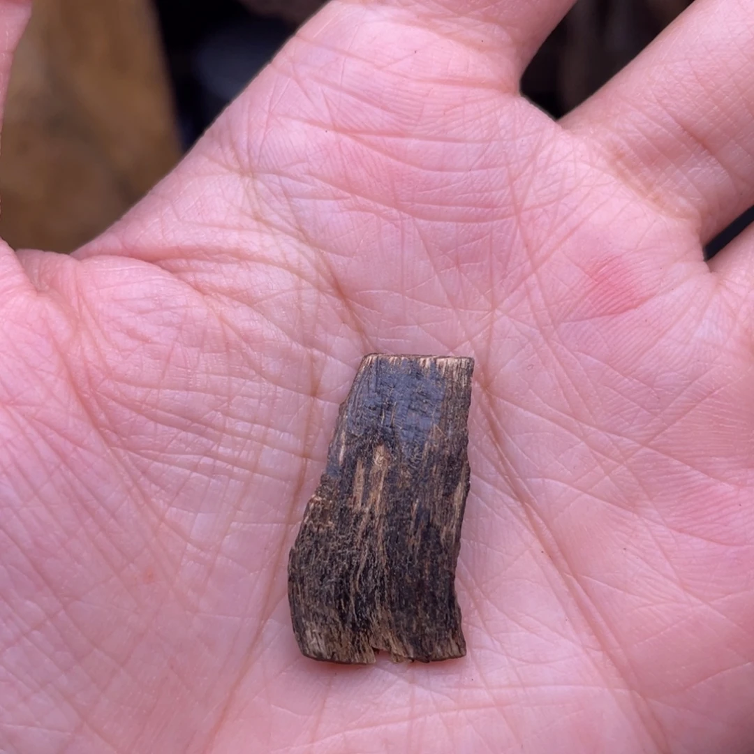 香榧木海南沉水树心油0.6克