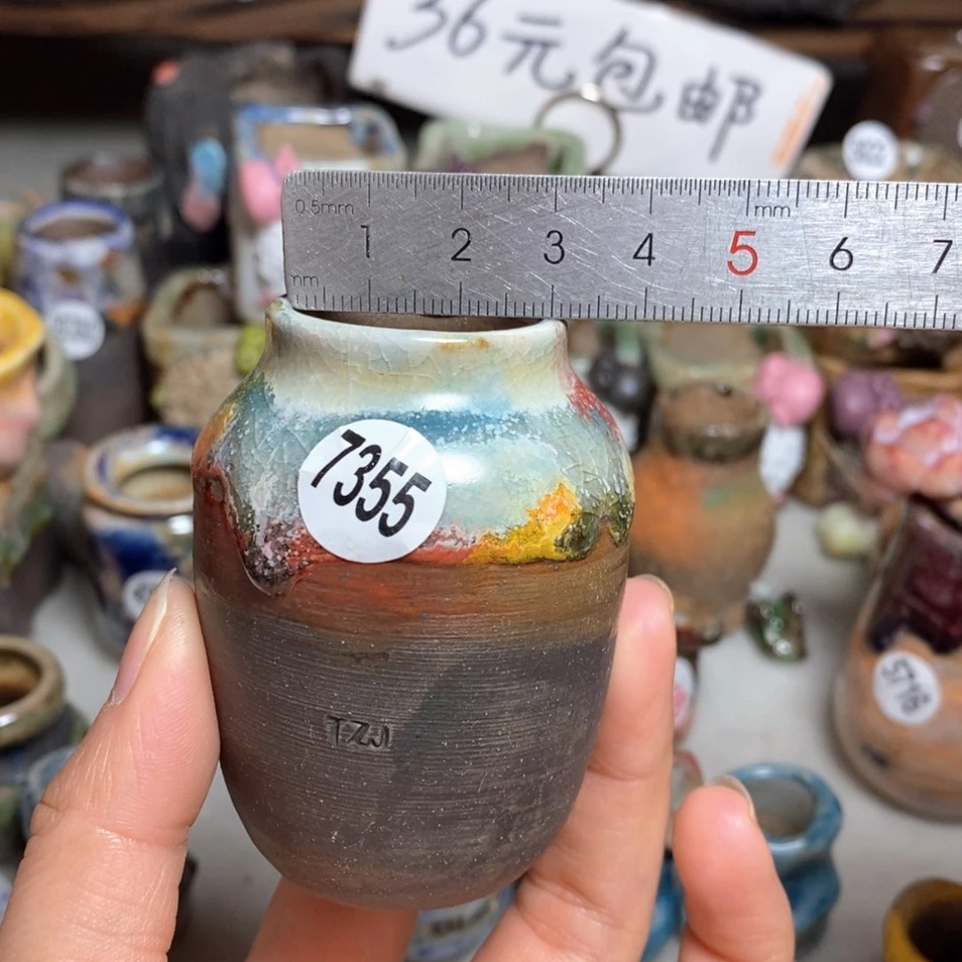 拍5送一个小礼物