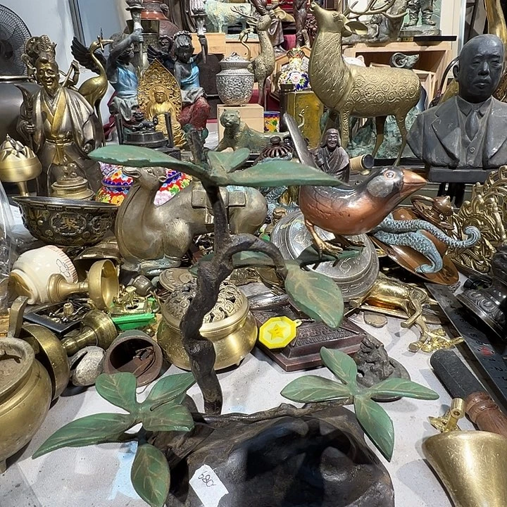 回流的是这片绿草地63