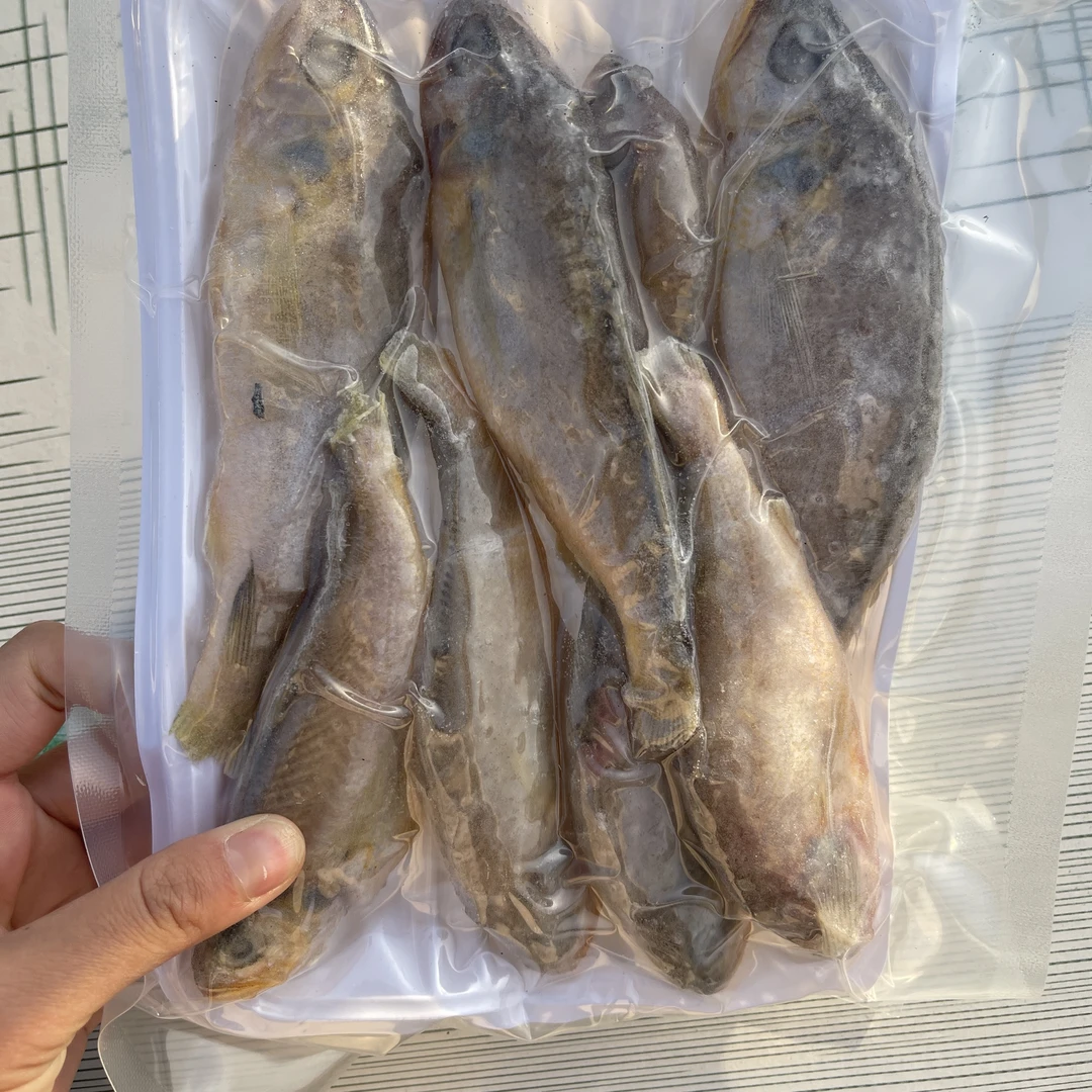 【张大庆】黄骅海鲜野生小黄花