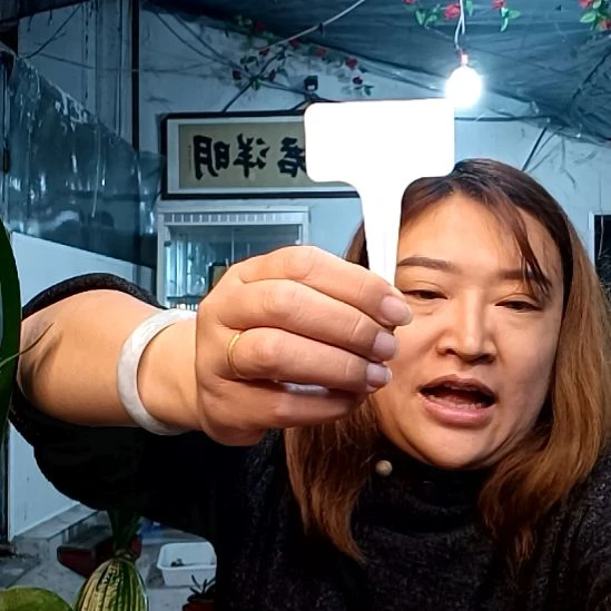 茕***萌萌哥一颗69元血兰