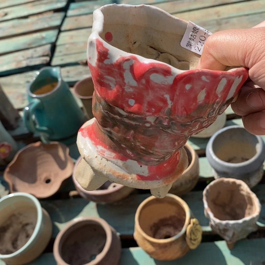 红陶独*51号多肉盆一个呀