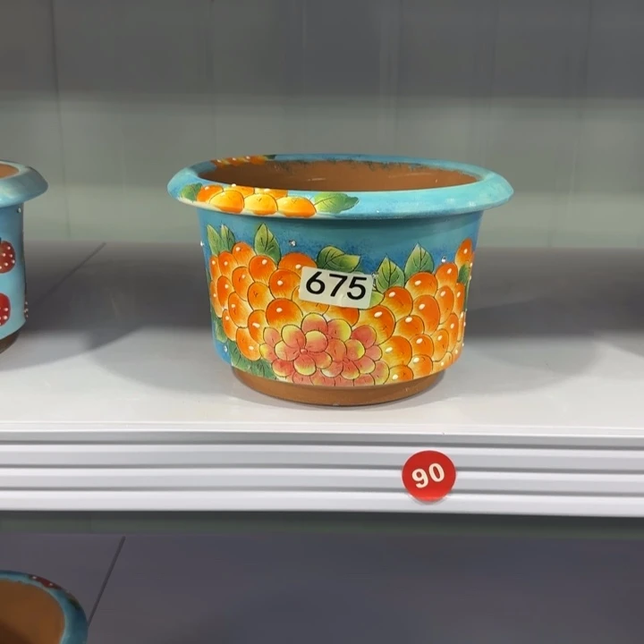 红陶洛*田小姐多肉花哦