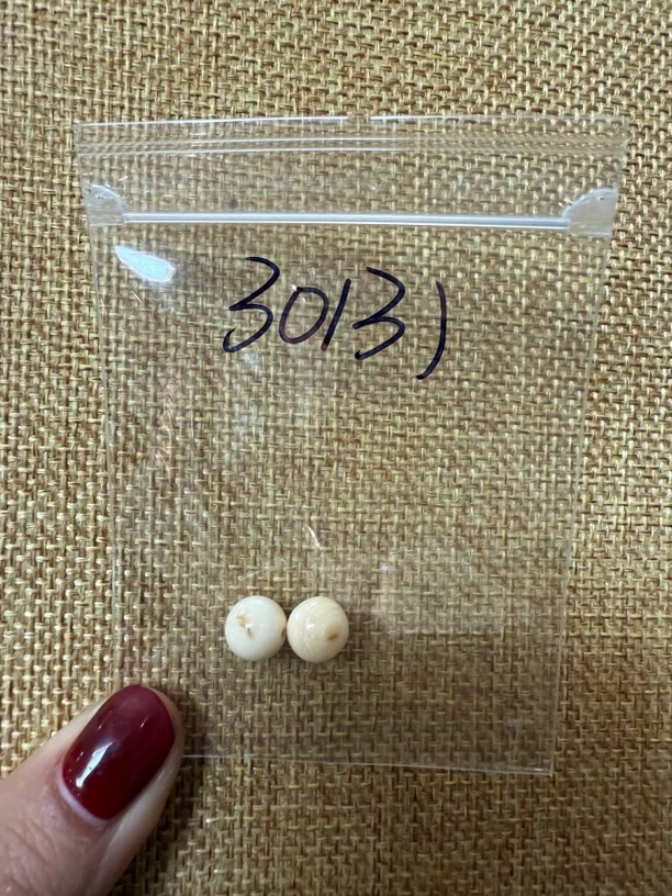 30131亚齐猛犸圆珠对珠配饰