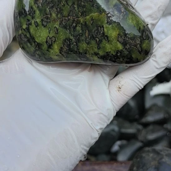 手***9藏玉药王石原石一个