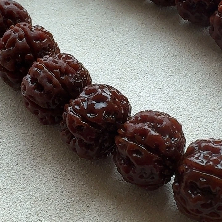 金刚菩提手串士*老树王