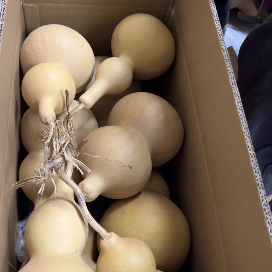 娟***儿有机玻璃葫芦葫芦