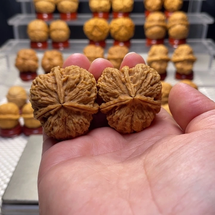 文玩核桃把件6花中花