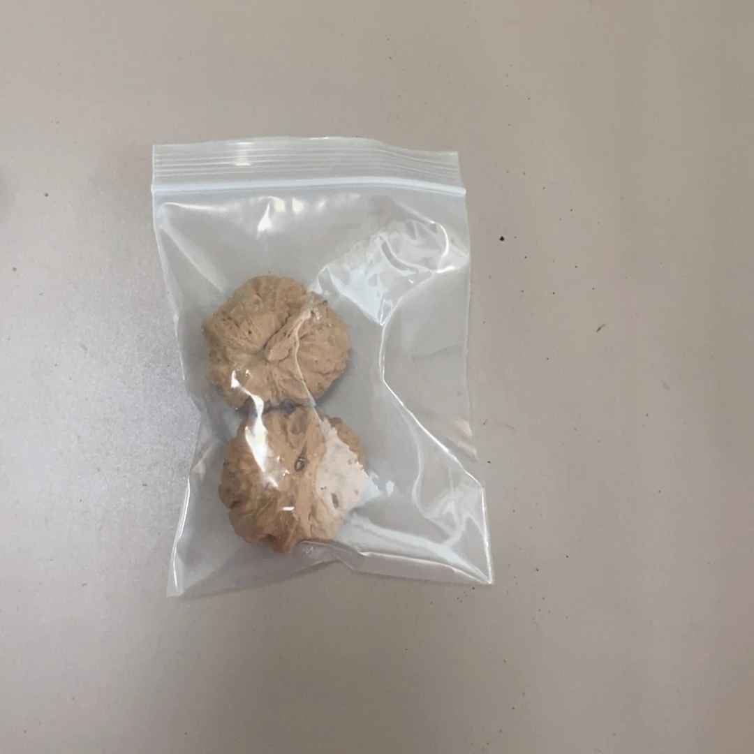 文玩核桃吊坠青蛙➕元宝有瑕疵团购