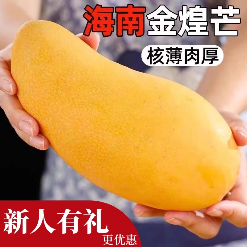 【新人5斤金煌芒果尝鲜/更划算】海南金煌芒2-3人/份一整箱包邮1斤