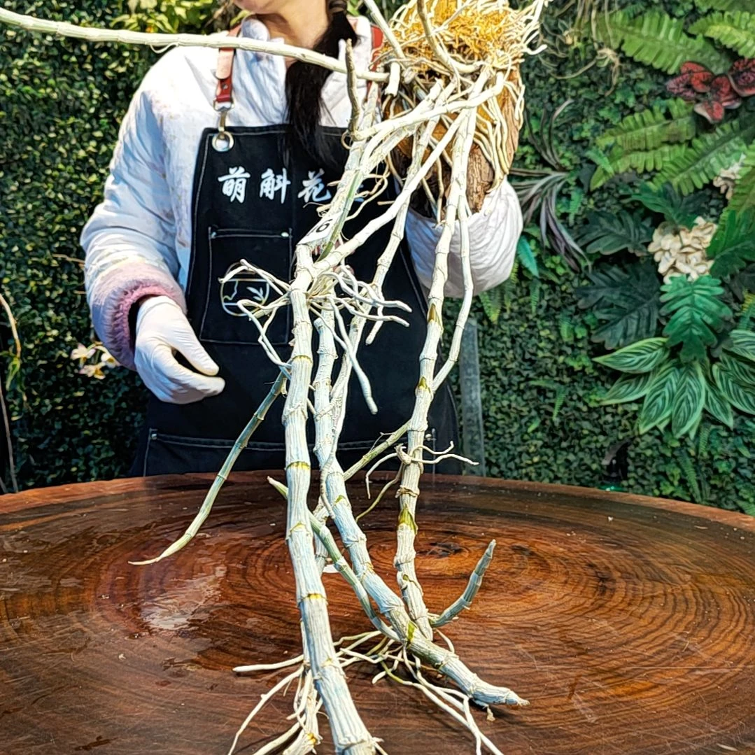 【闪购商品】046檀香花卉