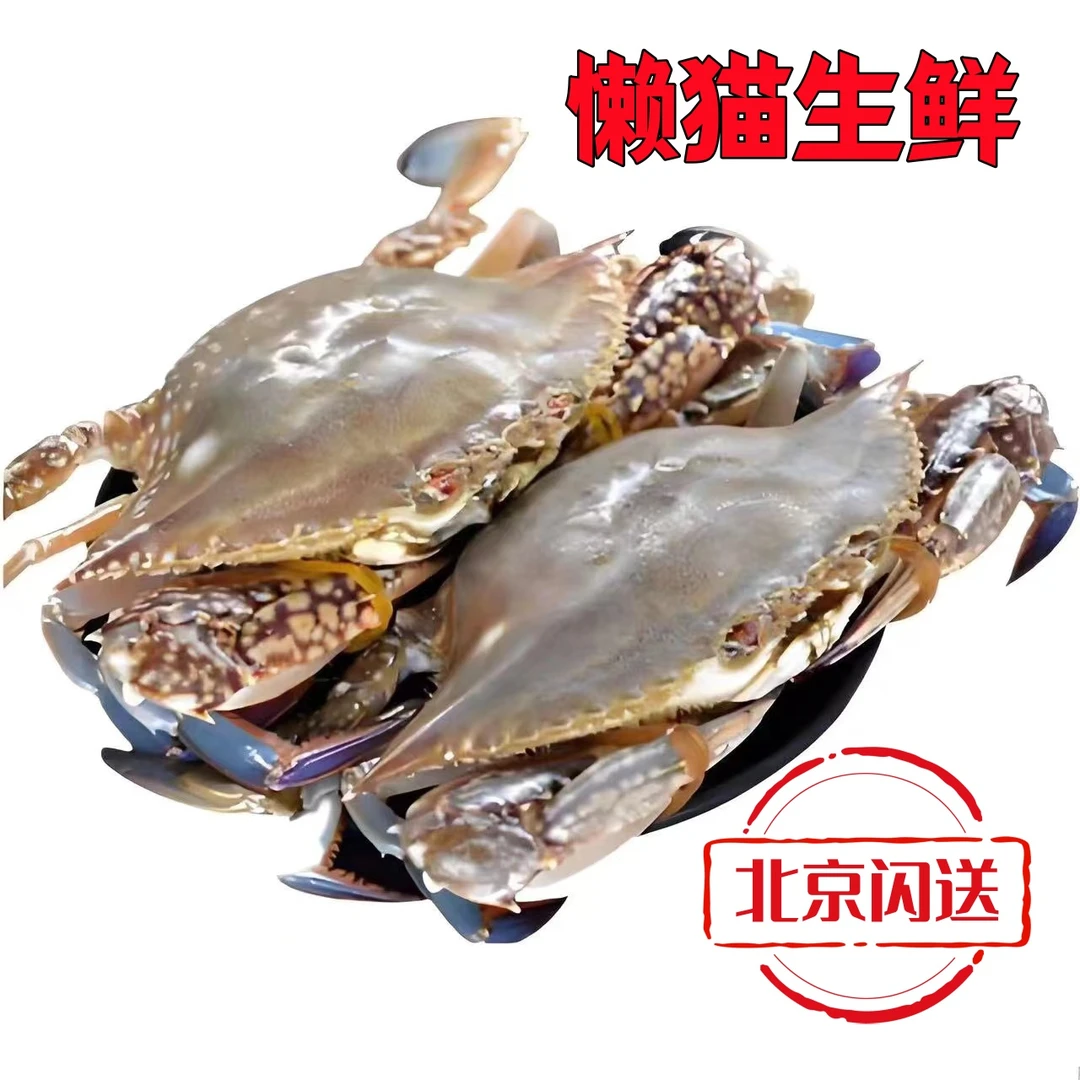 【鲜活梭子蟹】梭子蟹( 单只1-2两 ) 2-5斤可选 海鲜 梭子蟹 充氧发货 规格可选 北京同城