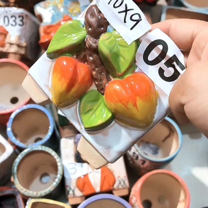 多肉花盆满15包邮