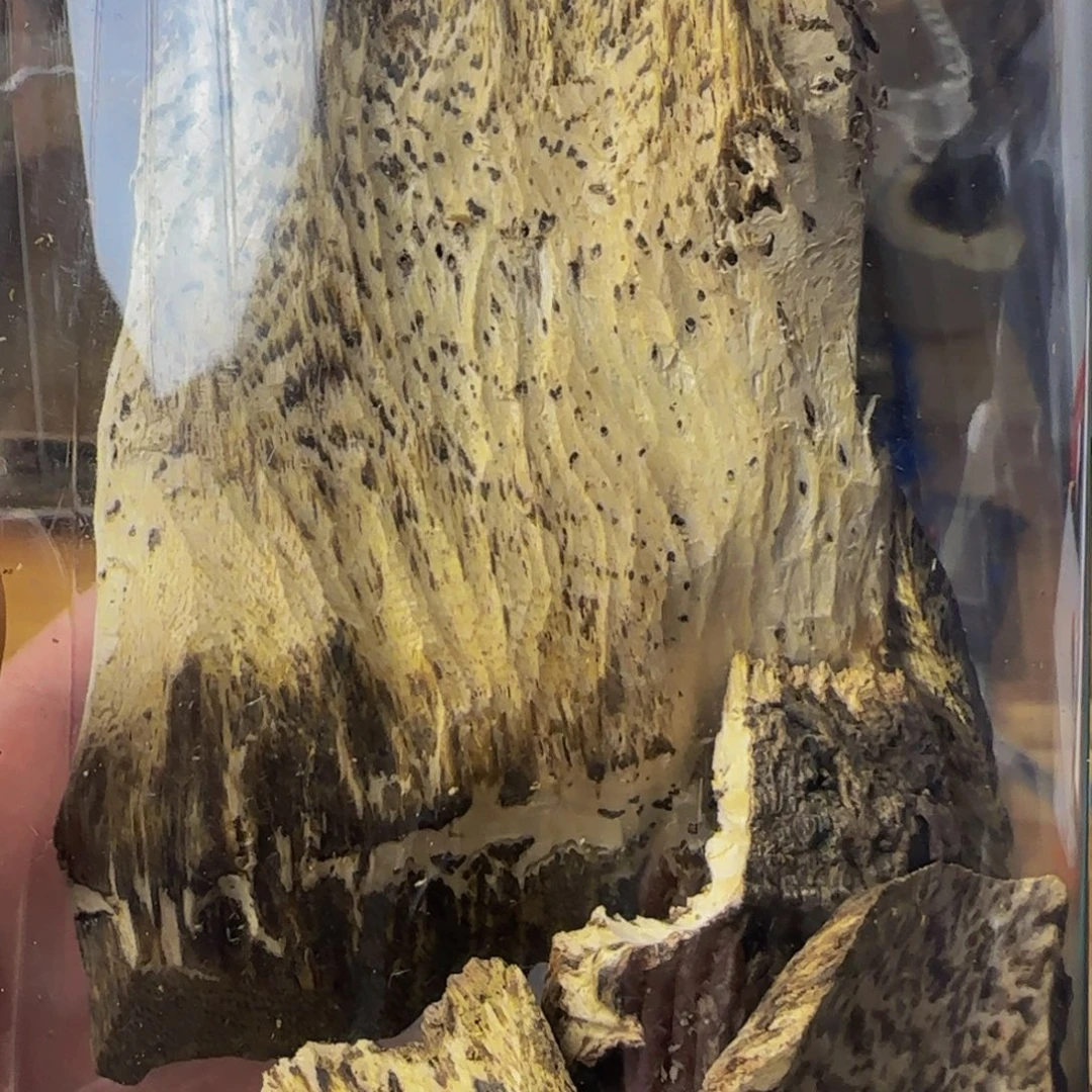 用***4沉香沉香碎屑52克