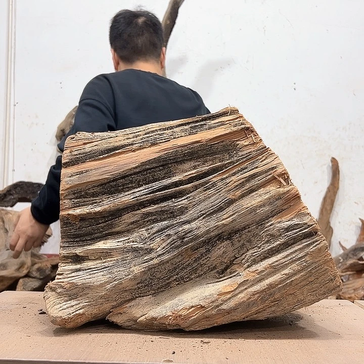 柏木听**雪我们的生活也会越来越美好吧希望